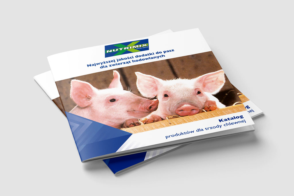 Katalog dla dystrybutora dodatków do pasz dla zwierząt i dodatków dla przemysłu spożywczego